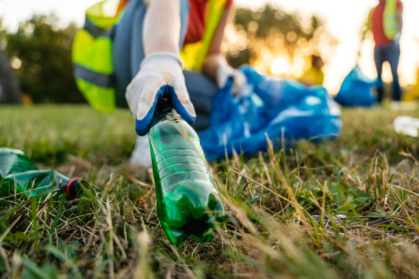 Best Yard Waste Removal  in Mount Carmel, TN